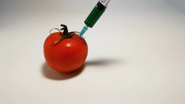 hand injects a syringe with green liquid gmo in a tomato on a white background