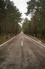 Obraz premium infinite road with trees