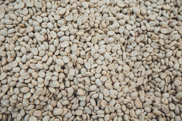 Parchment coffee Dried beans Coffee,  Coffee drying in the house