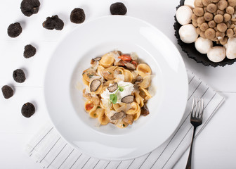 Orecchiette with ceps, cherry tomatoes, ricotta gratin and fresh trues 