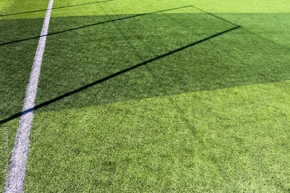 Wall mural artificial grass floor with shadow texture in Chiang Mai Thailand