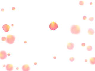 Rose gold petals flying cosmetics vector 