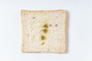 mold on white bread