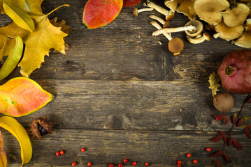 autumn background; leaves, mushrooms and berries