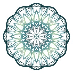 Modern Decorative Cicle Shapes. Floral mandala. vector illustration