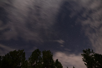 stargazing in Bancroft Louisiana