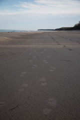 Spuren im Sand, Schritte