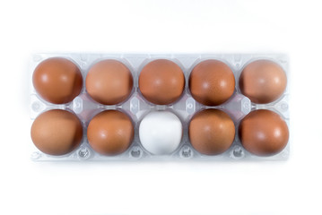 White and brown chicken eggs in a plastic package.