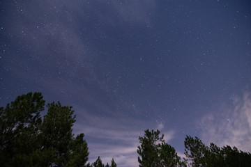 stargazing in Bancroft Louisiana