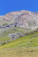 Sheep graze in the alps mountains. Piedmont. Italy