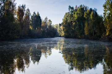 Dirty river with trees along the channel. Dirty river in Russia