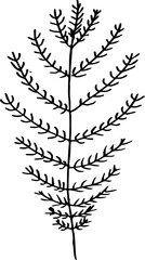 Black white pattern of a branch with leaves. Fractal plant