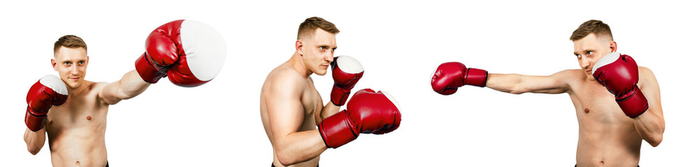Set of portraits of young guy boxer in boxing gloves isolated on white background