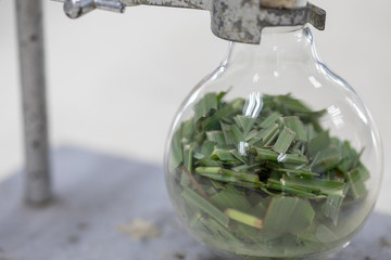 The study Separating by filtration and evaporation condensation the component substances from...