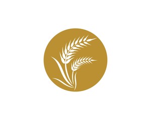 Wheat logo vector icon