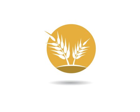 Wheat logo icon illustration