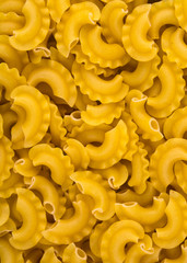 Italian pasta closeup