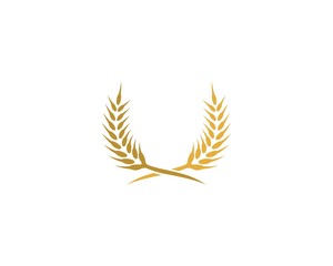 Wheat logo icon illustration