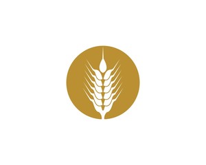 Wheat logo icon illustration