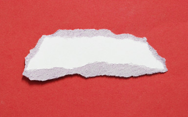 pieces of torn paper texture background, copy space.