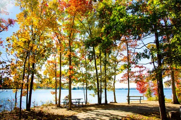 Spectacular Fall Colors