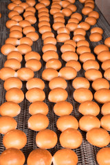 Fresh bread from the bakery oven