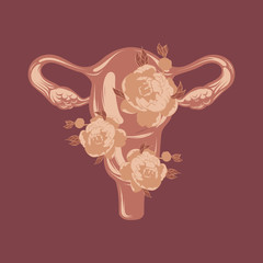 Vector hand drawn illustration of uterus with flowers .