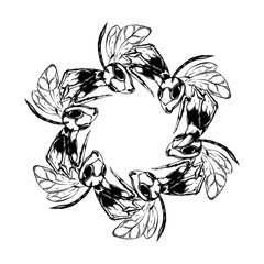 Vector hand drawn illustration of wasps