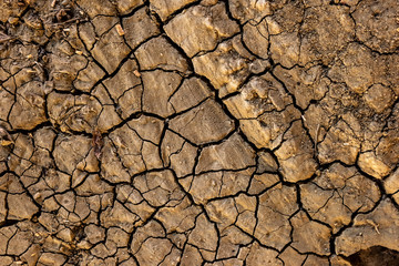 cracked earth texture