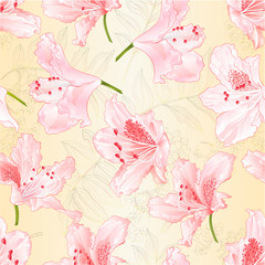 Seamless texture light pink blossoms  rhododendrons   on a nature background vintage  vector illustration editable hand draw