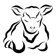 Fluffy sleeping sheep with a nose in the shape of a heart