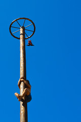 Fototapeta premium Boy climbing up on wooden slippery column to take the red woman boots at national Ukrainian annual market 