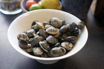 A white bowl filled with vongole mussels. Fresh sea food waiting to be cooked.  
