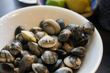 A white bowl filled with vongole mussels. Fresh sea food waiting to be cooked.  