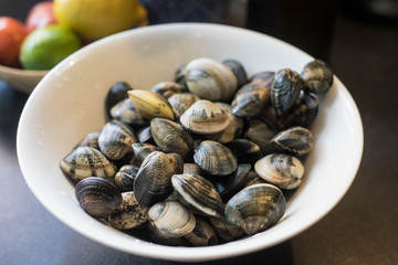 A white bowl filled with vongole mussels. Fresh sea food waiting to be cooked.  