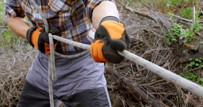 Lumberjack pulling rope in forest 4k