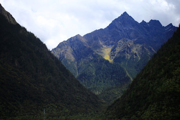  Brahmaputra river scenery