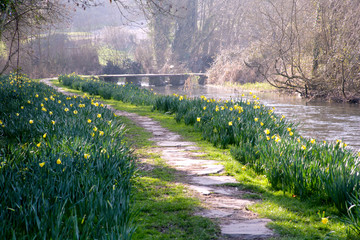 The ancient clapper bridge at Eastleach in spring sunshine in the Cotswolds, Gloucestershire, UK