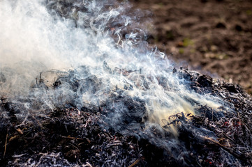 Smoke from burning garbage. Pollution of the environment_