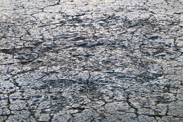 Low angle close up view of cracked and damaged roadway tar asphalt.
