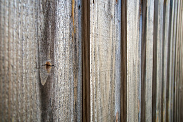 weathered wood background texture
