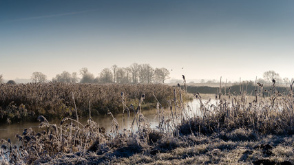 Rzeka Narew, mroźny poranek, szron i słońce.
