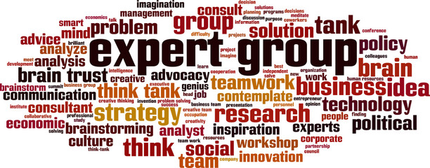 Expert group word cloud
