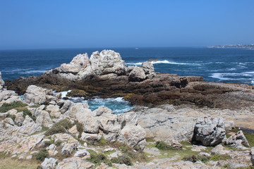 Fototapeta na wymiar Südafrika, Kapstadt, Hermanus, Cliffs, Strand, Wale, Reisen, Ozean, Meer