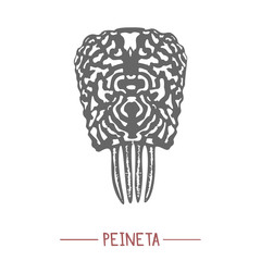 Traditional Spanish Comb Peineta in Hand-Drawn Style
