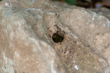 Buco nella pietra