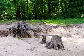 Resting place in the forest during the hike.