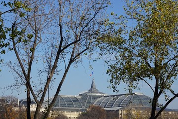 Grand palais Paris automne