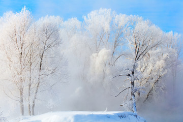 Winter landscape. Cold day.