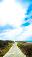 the way of countryside